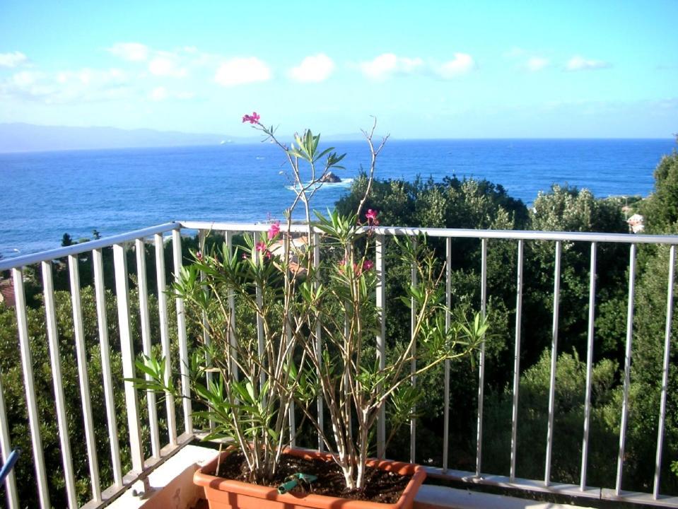Appartement Climatisé Vue Mer Route des Sanguinaires Ajaccio  Extérieur photo